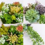 Opknoping Muur decoratieve voor Home Decor Indoor Vetplanten Planten Kunstmatige in Houten Frame 3D Groen Muur Art Decor Faux Planten voor Woonkamer Kwekerij Achtergrond (Set van 2