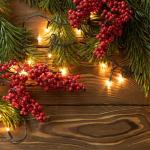 Lichtsnoer van 100 m, 1660 leds, 31 V, kerstverlichting voor buiten, met afstandsbediening, waterdicht, lichtketting met 8 modi en geheugen, voor binnen, tuin, balkon, dennenboom, 
