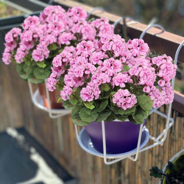 , 3 bundels voor buiten en binnen, namaakgeranium, zijden bloemen, decoratie, , uv-bestendig, geraniumstruik voor hangende tuin, veranda, raam, box, decoratie,