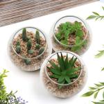 Kunstplant kunstmatige vetplant kamerplant decoratieve woonkamer, badkamer decoratieve plant vetplant, hoogte 8 cm, in glazen pot, set van 3