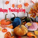 Deko Kür bis Samt Her b st Dekoration Kür bis Her bstdeko Kü rbis Tischdekoration Halloween Erntedankfest Dekoration, Handgemachte Super Weicher Gefüllter Kür bis Thanksgiving