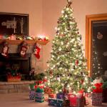 Nordmann Premium kunstkerstboom, 180 cm, natuurgetrouwe voorbehandelde dennennaalden, dichte takken, dennenboom met handgemaakte houten standaard, 510 takken