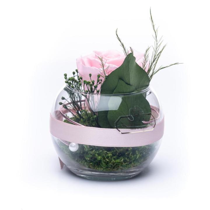 Eeuwige roos in glas met rozengeur, handgemaakt, roze, echte roos in geschenkdoos, cadeau voor vrouwen, mama, geconserveerde bloem voor Kerstmis, Valentijnsdag, Moederdag, decorati