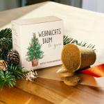 Kerstboom cadeauset - dennenboom in doos kweekset met kokostablet en cellulose pot - 8-10 zaden voor 5 dennenbomen kerstboom kweekset als adventskalender vulling