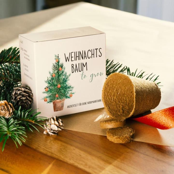 Kerstboom cadeauset - dennenboom in doos kweekset met kokostablet en cellulose pot - 8-10 zaden voor 5 dennenbomen kerstboom kweekset als adventskalender vulling