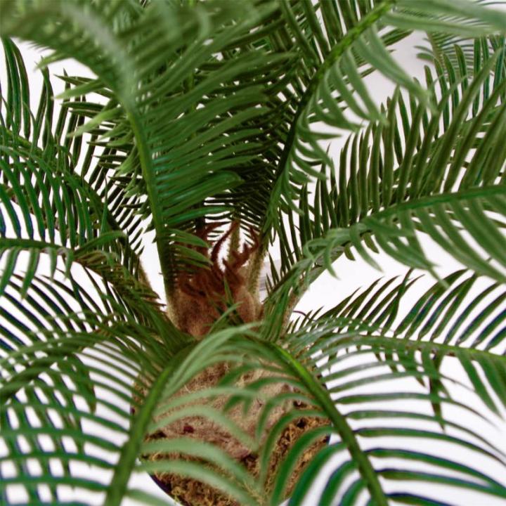 Realistische künstliche Palme und Tropische Bäume im Topf – fertig zum Ausstellen