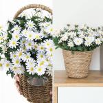 Faux Zijde Madeliefje Wilde Bloemen Groen Heesters Planten, 24 Witte Daisy Nep Bloemen voor Thuis Tafel Veranda Raam Keuken in Vaas Mand of Bloempot