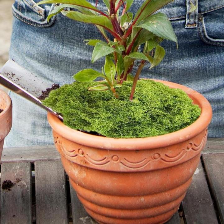 Kunststoff-Gartengras – synthetischer Rasenbelag, luxuriöse Wolle wie künstliches Moos | Künstliche Moos-Modellierungsprojekte, Bastelarbeiten, Graskränze, Tischdecken, Matte