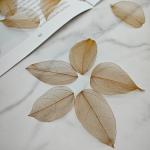 50 stuks kunstbladeren, decoratieve kunstbladeren, slinger, knutselen, droge bladeren, gedroogde bladeren, gebruikt voor doe-het-zelf handwerk, scrapbook, handwerk, kaarten maken (