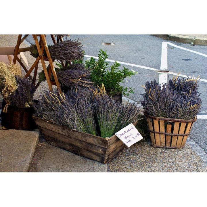 Lavendel Gedroogde lavendel boeketten 400+ stelen (40-45 cm) Voor wooncultuur, handwerk, cadeau, bruiloft of elke gelegenheid