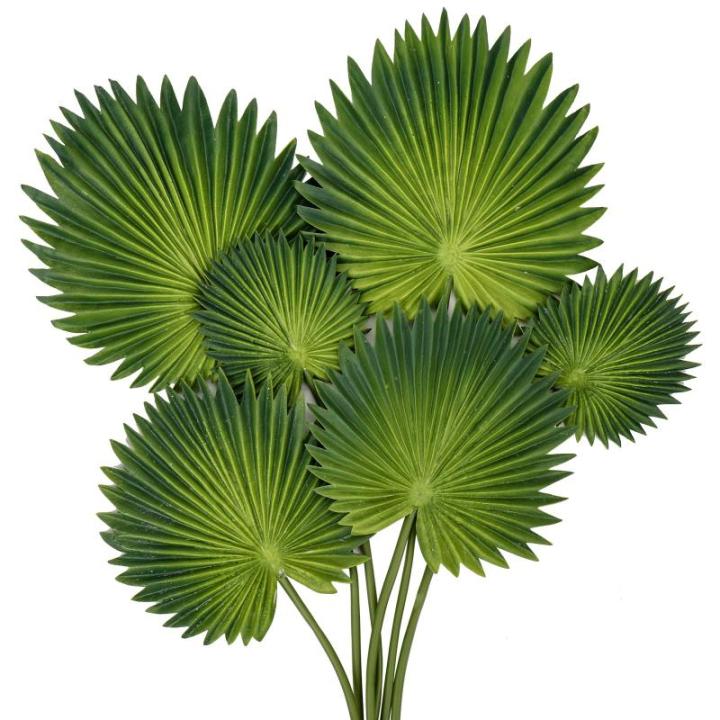 Set van 6 met Monstera-bladeren, echt voor boho-bruiloftsdecoratie, tropische palmbladeren, decoratie voor thuis, feest, keuken, doe-het-zelf bloemstuk