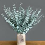 Eucalyptus decoratie 36 stuks, eucalyptus, eucalyptus, eucalyptus, eucalyptusplant, kunstmatige eucalyptus, eucalyptus-takken