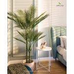 180cm künstliche Phoenix Palme, Areca Palme nur für den Innenbereich mit 2 abnehmbaren Stämmen und 24 verstellbaren Palmenblättern, deko für Büro, Laden, Wohnung und Party