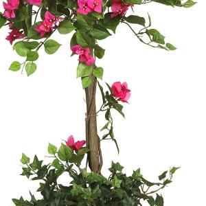 5228 Mini Bougainvillea vormgesneden schoonheid, 1,5 m, 22,9 x 22,9 x 158,8 cm