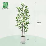 Citroenboom, , 180 cm, grote citroenboom met levensechte vruchten in witte pot, als echt voor moderne decoratie (1 stuks)