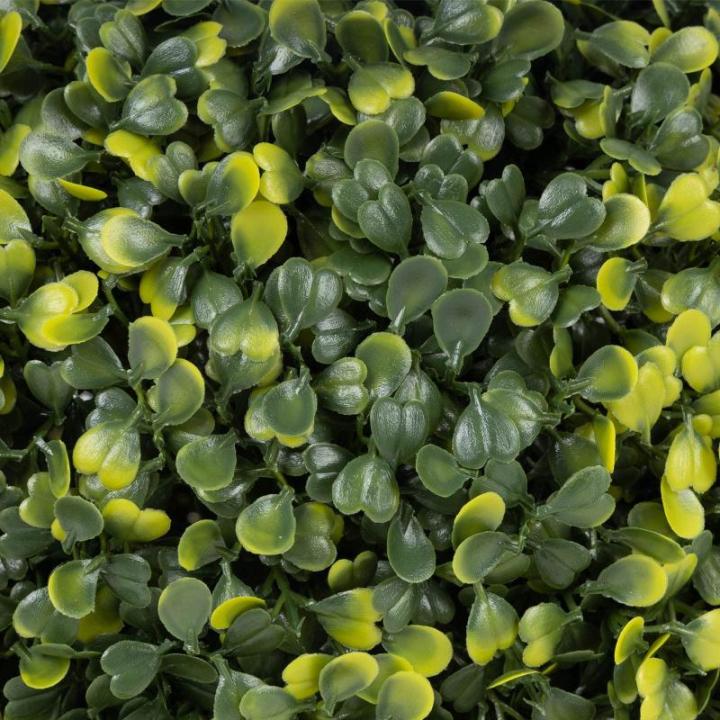 Plantenwand, , wandplanten, 50 x 50 cm, decoratie voor muur/balkon/tuin, buxusbal Ø 38 cm
