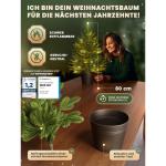 Kunstkerstboom in pot, kerstboom voor binnen en buiten, kunstboom voor kerstdecoratie, realistische look (80 cm, zonder verlichting)