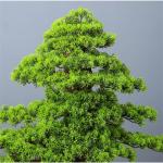 Künstlicher Bonsai-Baum Große künstliche Bonsai-Welcome-Kiefer, simulierte Topfpflanze, dekorativer Bonsai mit Blumenständer, Boden-Fake-Baum-Topf-Ornamente Künstliche Bäume 