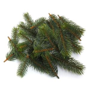 DANNENSTREU REAL Kunstmatige 24 Stuks. Grootte ca 8, 10, 13 cm. 24 kleine dennen,- takken/scheuten.