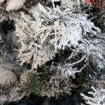 Luvi-naalden Kunstkerstboom, 150 cm, wit, inklapbaar, met 371 takpunten, incl. metalen standaard, snelmontage, klapsysteem