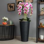Künstliche Orchidee Kaskaden Blumenstrauß Creme und Rosa im Topf Anthrazit H 110 cm Heimbüro Dekoration, Kunstpflanze Orchidee, Kunstblume, Künstliche Orchidee im Topf