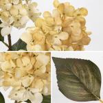 3 stuks voor de herfst nephortensia zijden bloemen 27,5 inch hoge kunstmatige hortensia, antieke witte kunstbloem zijden hortensia lange steel voor bloemschikking herfstdecoraties