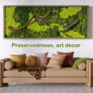 200 g decoratief kunstmos om te knutselen, kunstmos voor planten, moswand, geschikt voor wandknutselen, mosaquarium-modelbouw, lichte kleur