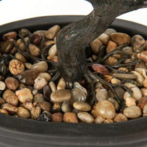 Kunstbonsai Natuurgetrouwe kunstplant, kunstboom, bonsai, ceder, grenen, podocarpus, plastic plant, kunstplant met keramische pot in zwart, voor badkamerdecoratie, desktop, kantoor