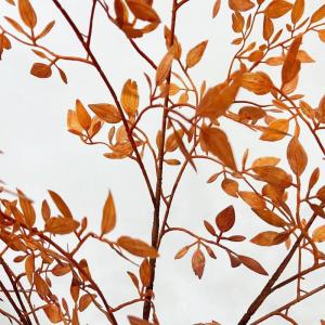 Nandina Domestica 3 herfsttakken van bamboebladeren, kunstbamboeplanten, herfststeeltakken, kunstplastic planten voor vazenopzetstukken,