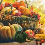 Minis Samt-Kürbisse – Künstliche Künstliche Dekorative Bunte Schaumstoff-Kürbisse | Handgemachte Halloween-Ernte-Gemüse-künstliche Simulations-Kürbisse, Bauernhaus-rustika