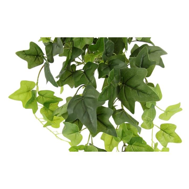 Klimophanger, klimop, slinger, ongelijke hangende struik, hangplant, groene plant, hangplant, rankend, plantenhanger, kamerplant, klimop, klimop, ca. 80 x 28 x 26 cm