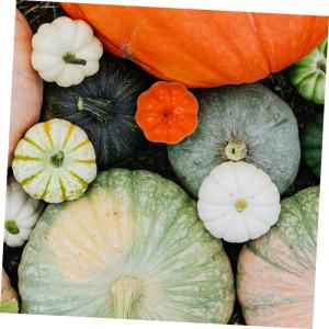 700 STK Kürbis Dekoration Halloween Pumpkin halloweenkürbis Kürbisfigur Mini-Kürbisse Halloween-Tischdekorationen Herbstdeko simulierte Kürbisse kürbis dekor selber Machen Sc