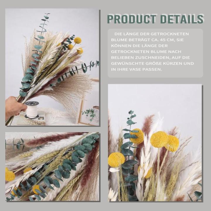 Gedroogde pampasdecoratie, natuurlijke gedroogde bloemen, 100 stuks, doe-het-zelf, gedroogde bloemen, boeket, ideaal voor boho, woonkamer, bruiloft, slaapkamer en vazen (LZGSGO-010