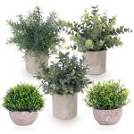 Set van 5 mini- in pot, nep, kleine eucalyptus, rozemarijn, groen, kunststof, kunstgroen, grasplanten, decoratieve nepplant voor huis, kantoor, balkon, bureau, badkamerdecoratie
