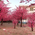 Japanische künstliche Kirschblütenbäume, große rosa Pflanze, Wunschbaum, handgefertigte künstliche Seidenblumen, Party, Restaurant, Einkaufszentrum, Dekoration, 2,5 x 1,5 m/8,