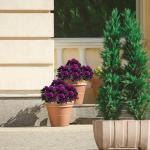 Kunstblüten 84 PCS Künstliche Blumen Gefälschte mit Langem Stiel für Florale Arrangements Faux Blume für DIY Hochzeit Party Mittelstücke Haus Büro Dekoration 0511