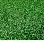 Grastapijt / kunstgras (10 mm) 1x5 m rol