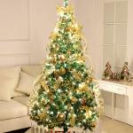 Fuß Echter Weihnachtsbaum, Premium Fichte mit Scharnier, inklusive Ständer mit Wurzeln, umweltfreundlicher Weihnachtsbaum, für Weihnachtsdekoration,B,350cm(11.5ft)