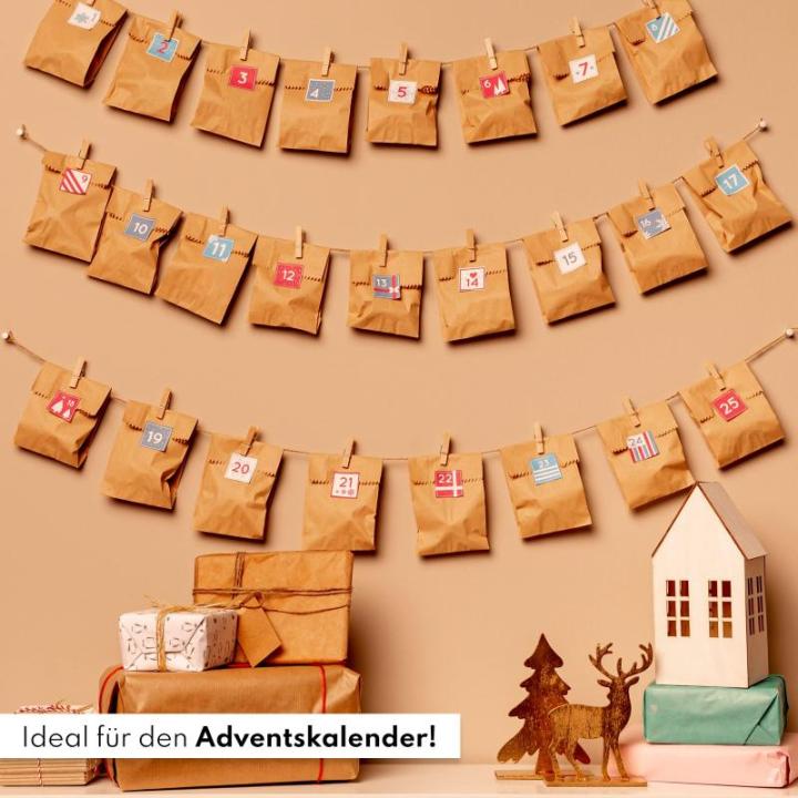 Nordmann Kerstboomkweekset als vulling voor adventskalender, mini-cadeau als idee voor de adventskalender voor vrouwen en mannen, Nordmann-dennenboom om zelf te planten