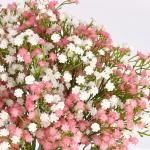 Gypsophila , 10 stuks, Gypsophila , sluierkruid, namaakbloemen, boeketten voor bruiloft, bruid, feest, woondecoratie (roze en wit)