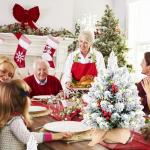 Kunstkerstboom (20-inch witte slanke kerstboom met verlichting)