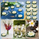 Kunstwaterlelie, 10 stuks, 10 cm, drijvende bloemen, waterlelie, wit, waterlelie, kunstbloem, lotusbloem, kunstlotusbloem, kunstlotusbloem, kunstlotuskunstplant voor tuinvijver, de