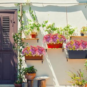 10 Stuks voor Buiten, 5 Kleuren, UV-Bestendige , Weerbestendig, Bloemenarrangement voor Tuin, Balkon, Raam, Huis, Feestdecoratie