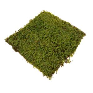 Kunstrasen kunstgras kunstgräser rasenteppich Gras deko künstlich Kunst Gras Sandtisch-Rasenmodell Sandtisch-Rasenmatte gefälschter Rasen Rasenmatte für Sandtisch Perlenbaumwol