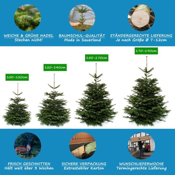 Nordmann-kerstboom uit Sauerland (100-120cm)