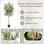Kunstolijfboom, kunstplant 180 cm, kamerplant met cementpot, natuurlijke bladeren en 72 vruchten, kunstboom voor tuin, kantoor, thuis, , groen