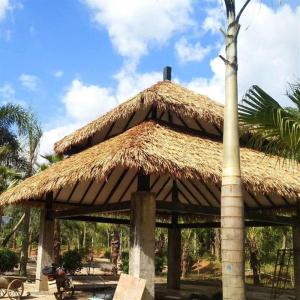 Kunststro, palmstro, daktegels, decoratie, daktegels, decoratie, dakbedekking, spa-resort, zonwering, koudebestendig kunststof, realistisch effect (kleur: beige-6 stuks, maat: 50 x