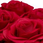 Rozenbox rond, 4 rozen, stabiele bloemenbox, wit, 10 jaar houdbaar, cadeau-idee, decoratieve bloemenbox, rood