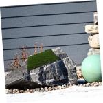 3St Simulierter Moosrasen Graswand Bonsai Dekoration Rasenersatz Grasmatte Wanddekoration rasenmatte Kunstrasenfliesen Terrassenfliesen künstliche grüne Wand Kunstrasenwand Tufte