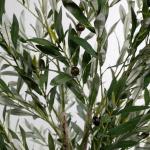Kunstmatige olijfboom 180 cm kunstplant boom Olea kunstboom hoge stam